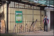 IMG_6031.JPG