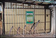 IMG_6041.JPG